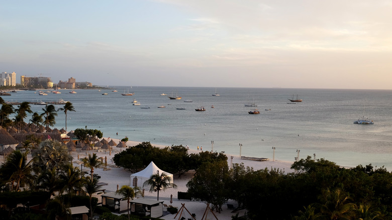 the beach on Aruba