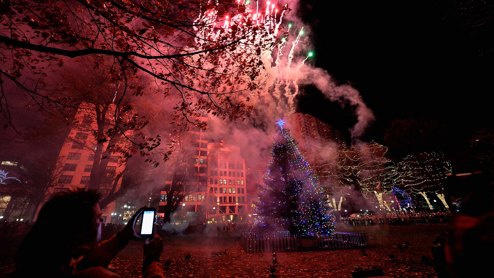 Nova Scotia Gives Boston A Christmas Tree Every Year. Here's Why