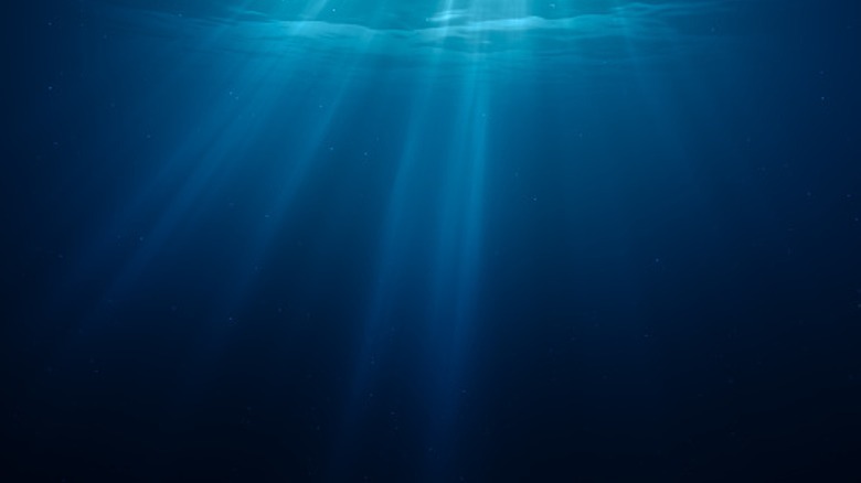 Sun rays piercing into the dark gloom of the ocean