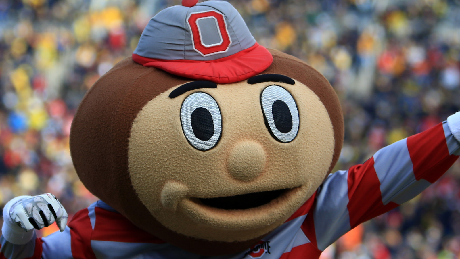 Ohio State's Buckeye Mascot Explained