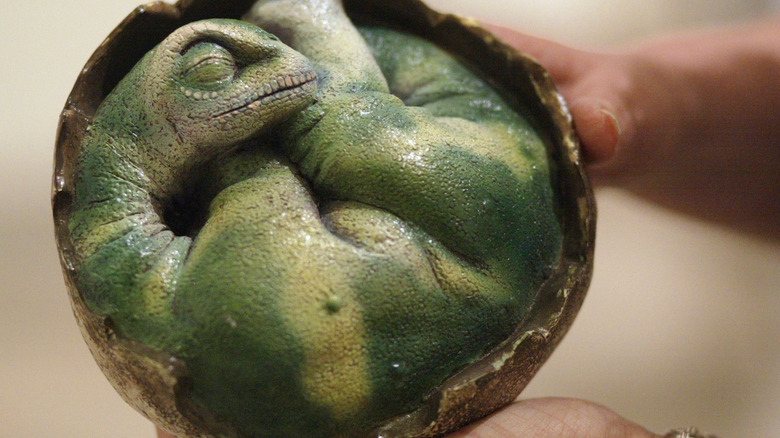 A model of an dinosaur embryo