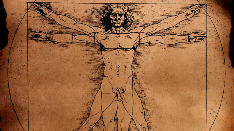 da vinci's vitruvian man