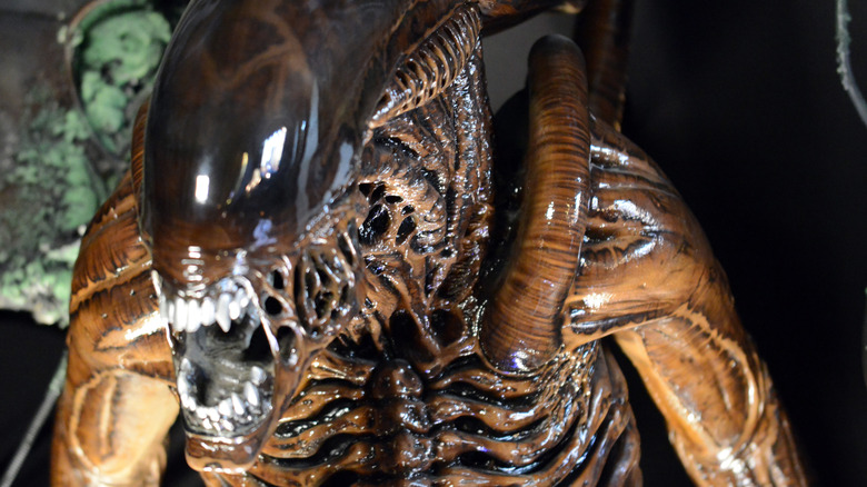 the alien xenomorph