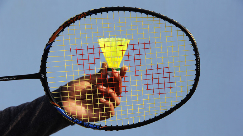 Badminton racket and shuttlecock