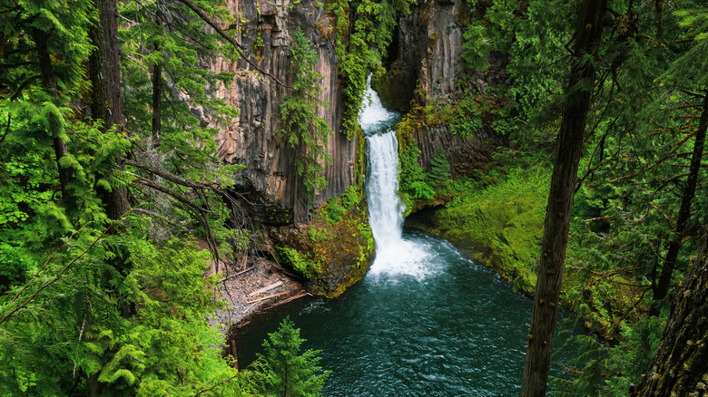 Umpqua National Forest