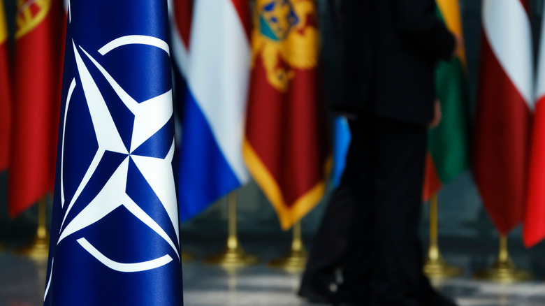 NATO flag with member flags