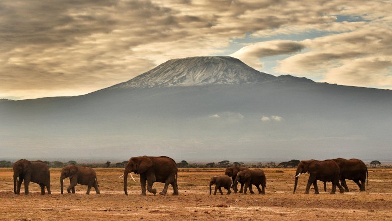 Mount Kilimanjaro's ice, Tanzania