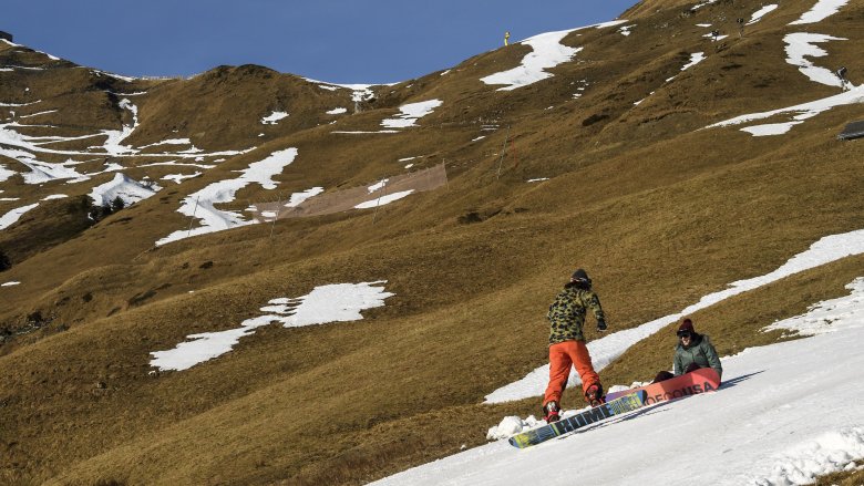 The Alps' glaciers