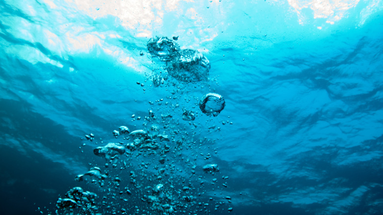 Bubbles rising in water