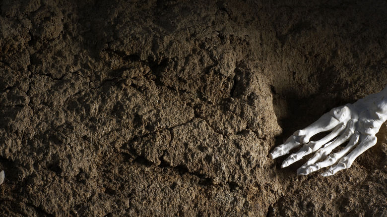 bone fragments in dirt