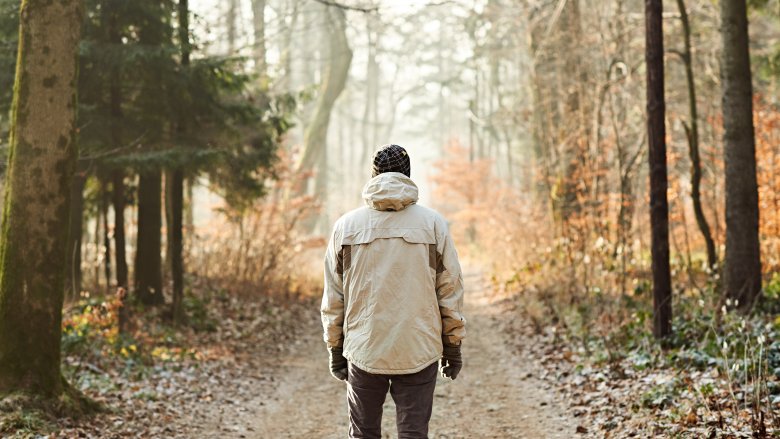 Lone hiker