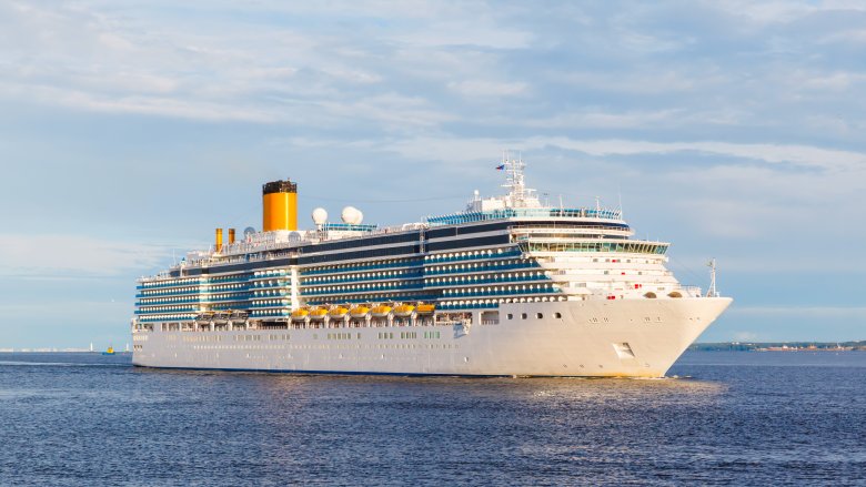 Cruise ship at sea