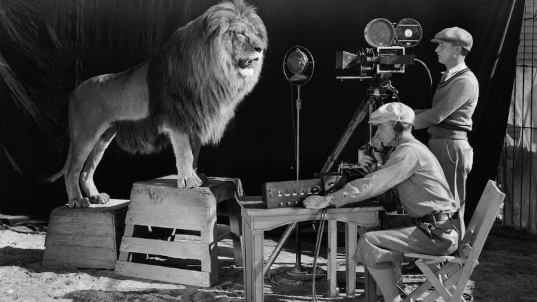 mgm lion