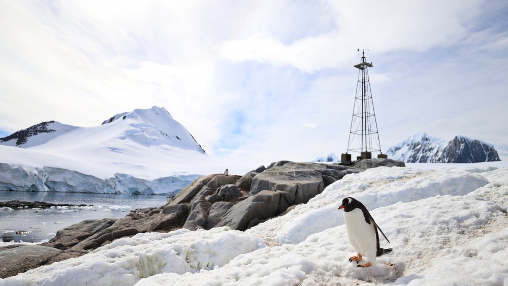 Antarctica