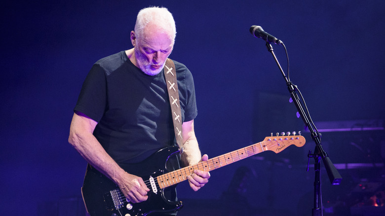 David Gilmour playing live