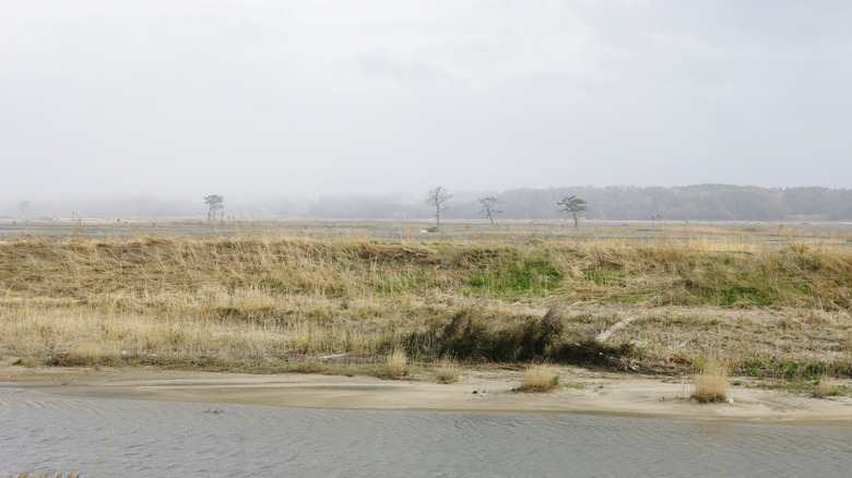 An empty road near Fukushima