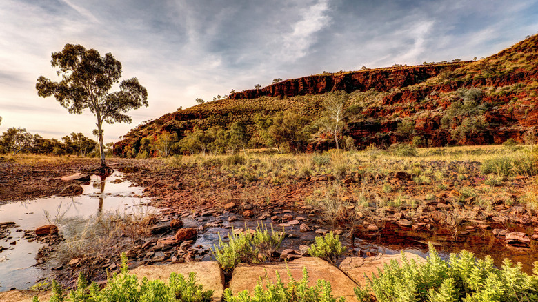 Wittenoom Ranges in Western Australia