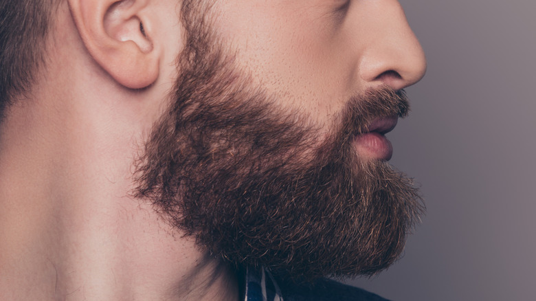 Bearded man profile