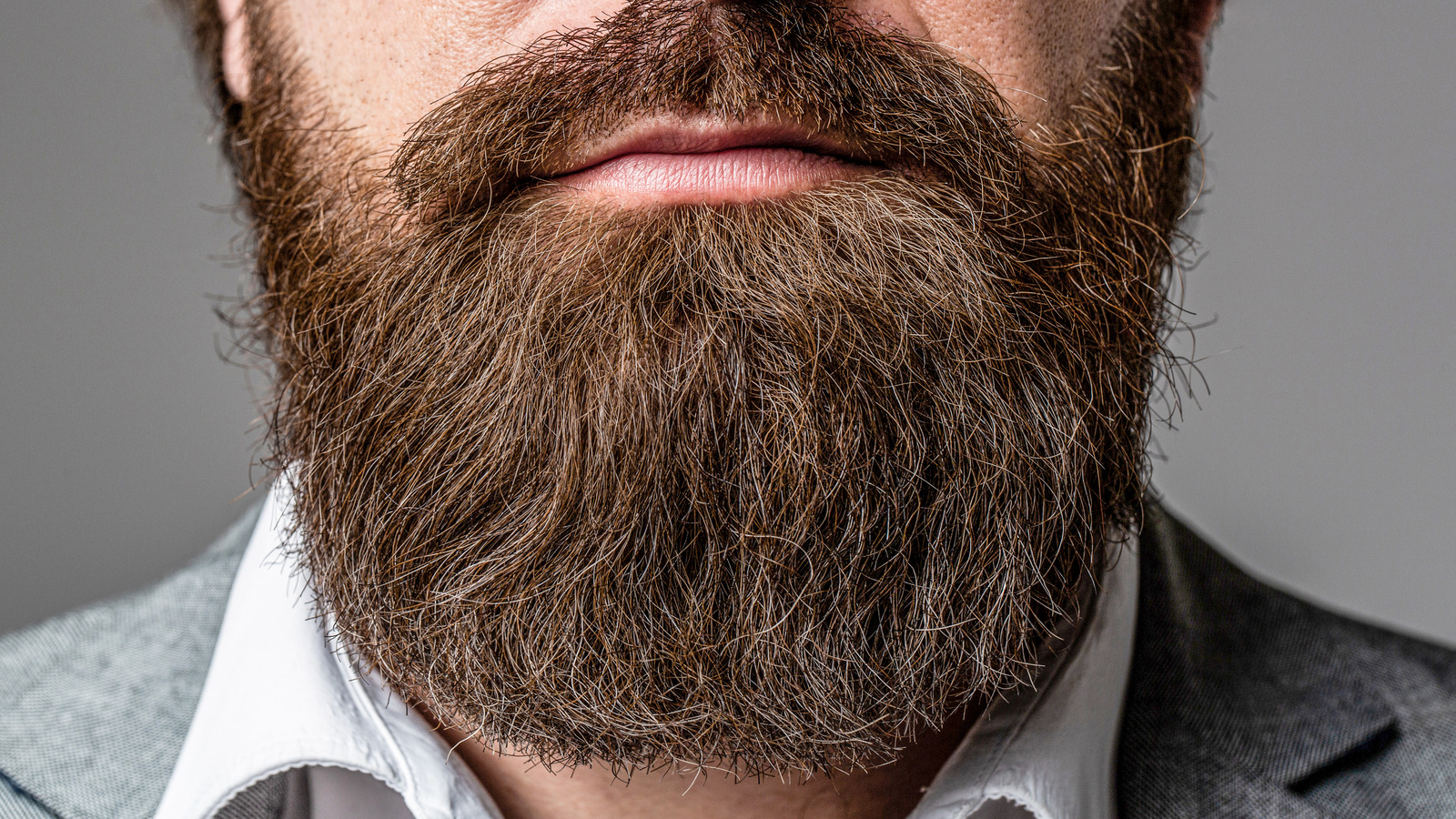 Pogonophobia: The Truth About The Fear Of Beards