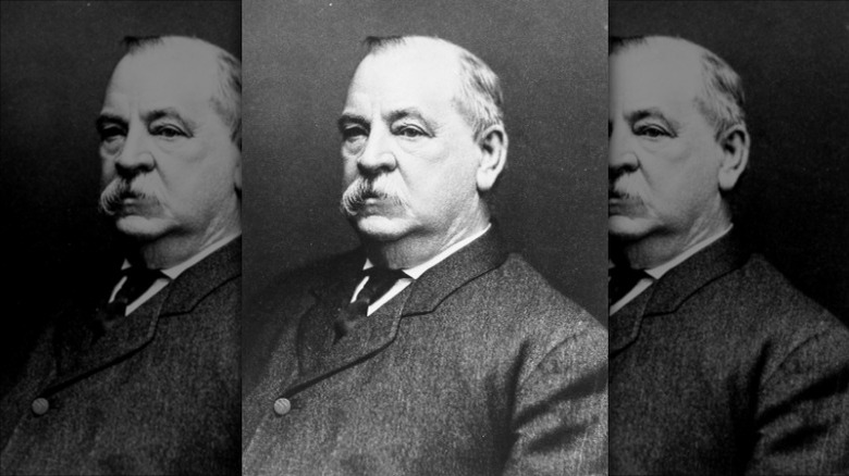 Portrait of Grover Cleveland with moustache