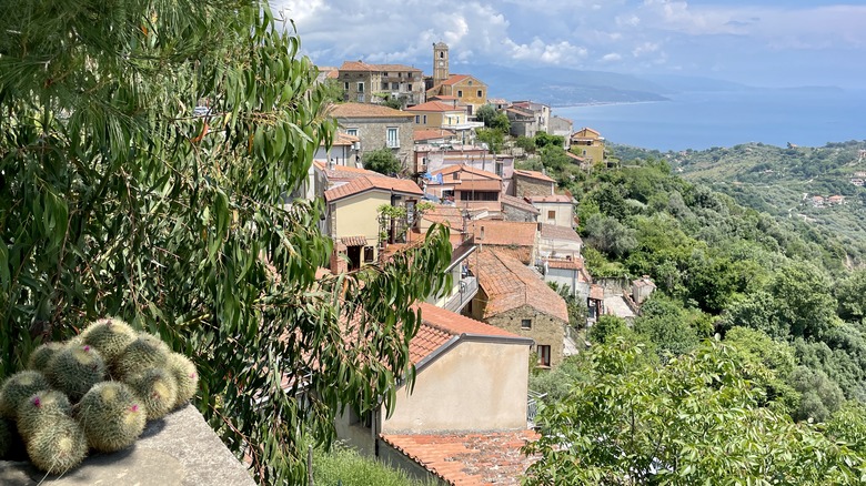 Pollica buildings amid foliage and mountains overlooking sea