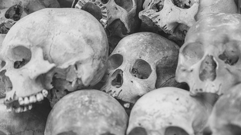 Skulls from Khmer rouge genocide