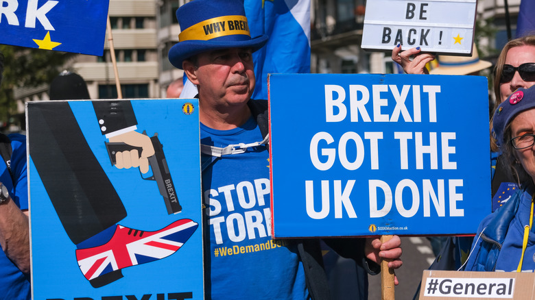 Anti-Brexit campaigner in EU hat with placards