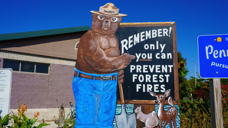 Smokey Bear sign saying "only you can prevent forest fires"