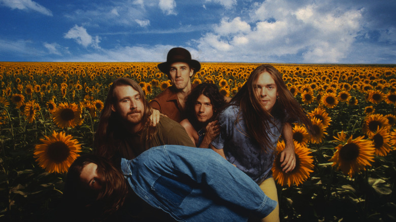 Members of Blind Melon posing in front of a field of sunflowers