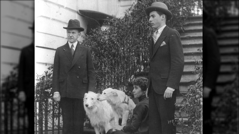 Coolidge and dogs