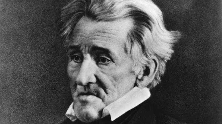 Andrew Jackson frowns