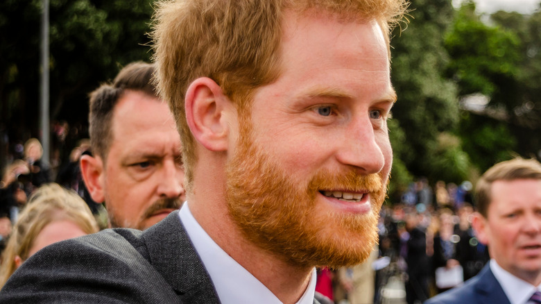 Prince Harry at a war memorial in New Zealand