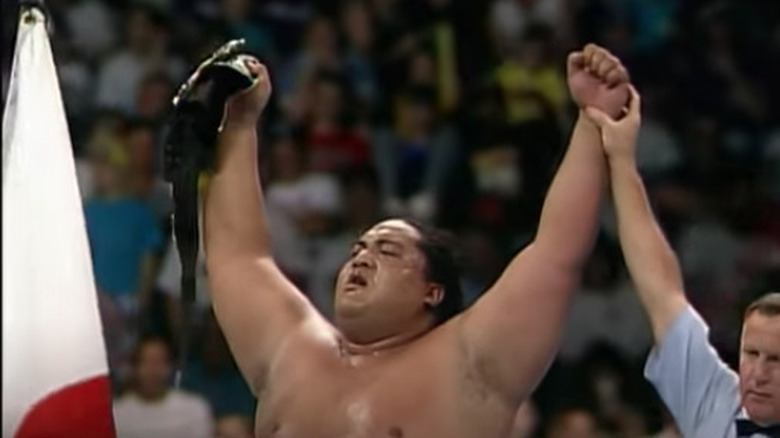 Yokozuna in 1993