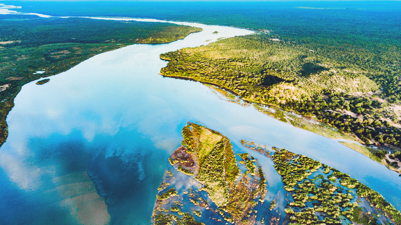 aerial shot of river at daytime