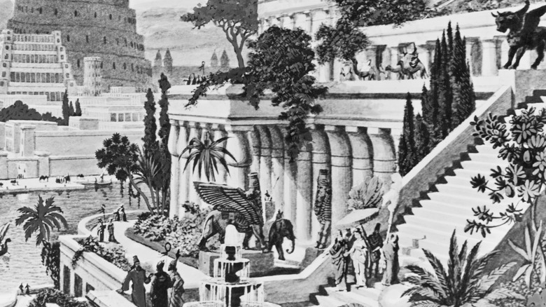 engraving of hanging gardens of babylon