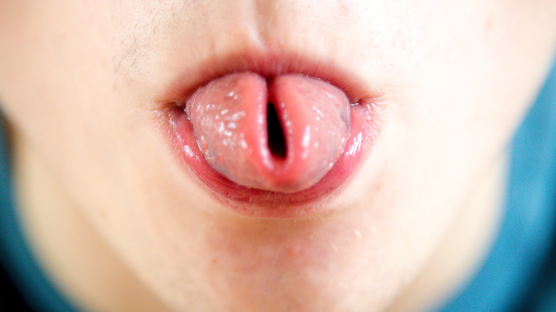 Closeup of a young man rolling his tongue lengthwise