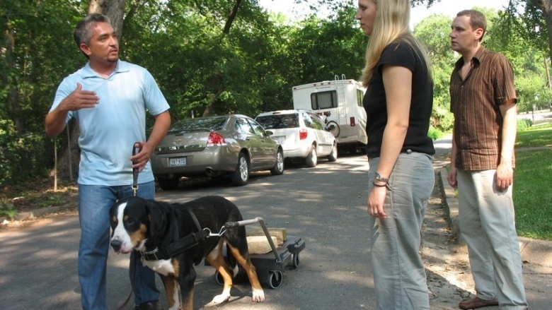 cesar milan dog whisperer