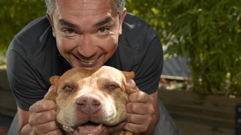 cesar milan dog whisperer