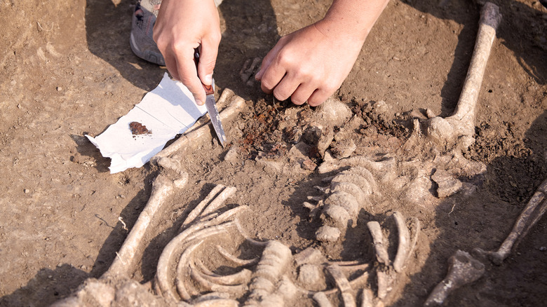 excavation of a human skeleton