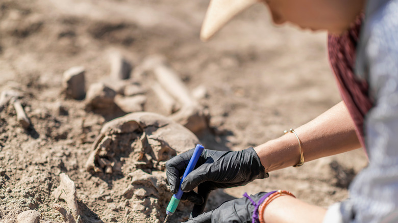 archaeologist human remains