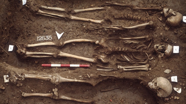 england black death burials