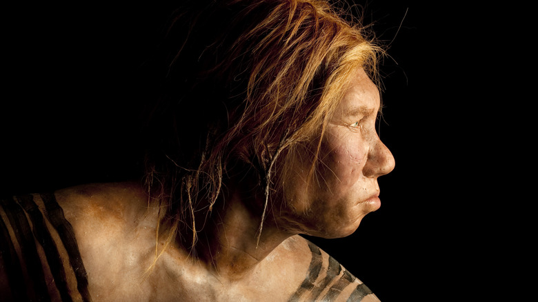 reconstruction of a neanderthal woman