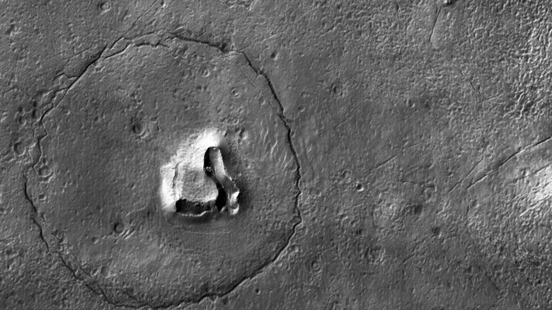 A bear's face on Mars