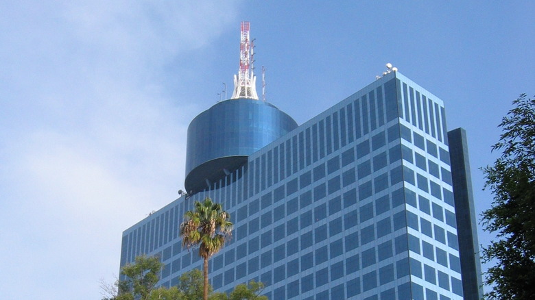 Mexico World Trade Center palm tree