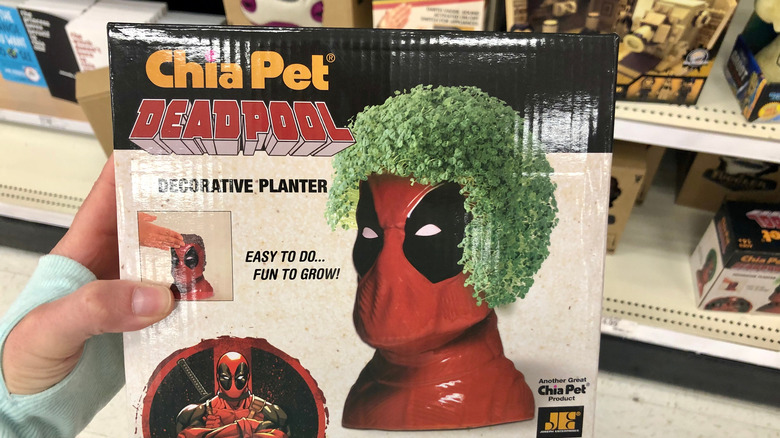 Deadpool Chia Pet in store