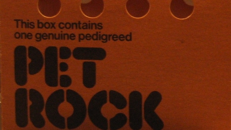 Pet Rock packaging