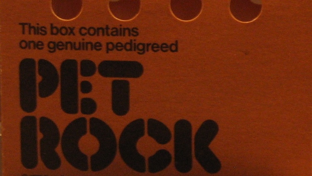 Pet Rock Box