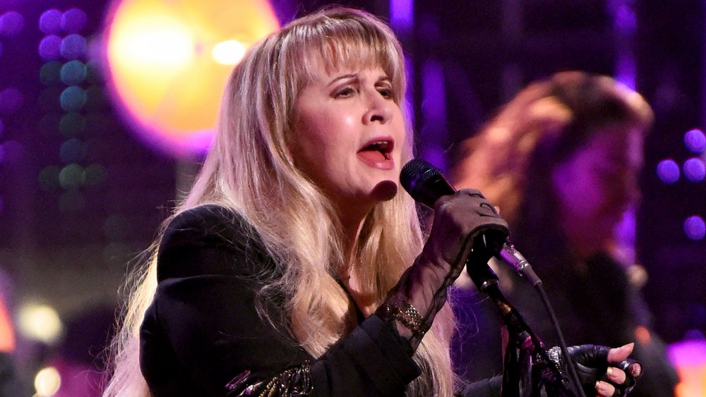 Stevie Nicks 