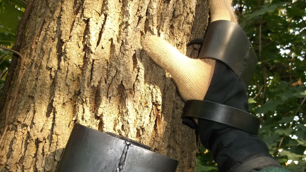 gloved hand on tree trunk