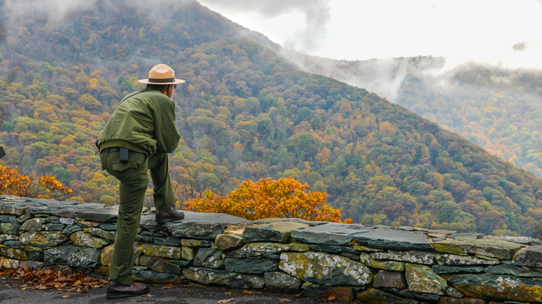 park ranger looking over mountains